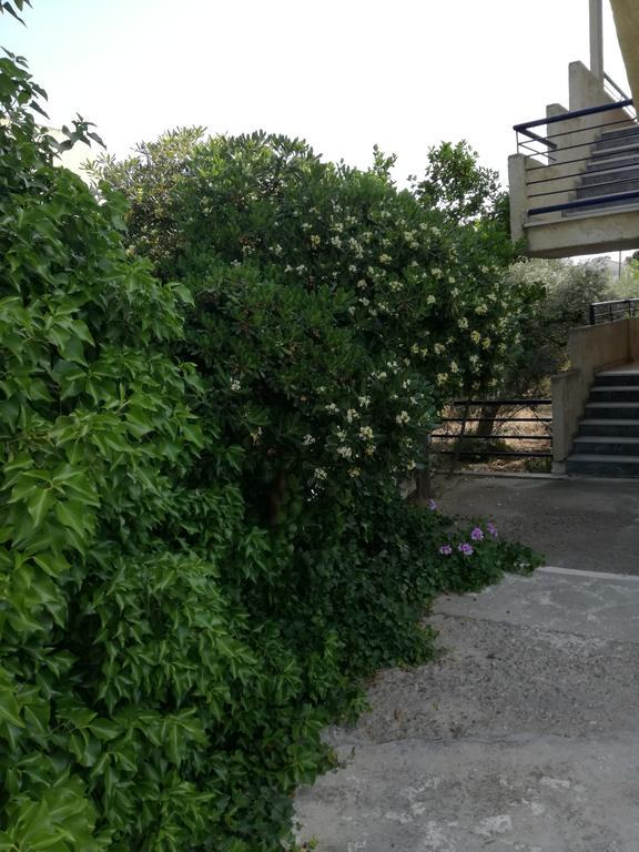 Pericles Studios Agia Marina  المظهر الخارجي الصورة
