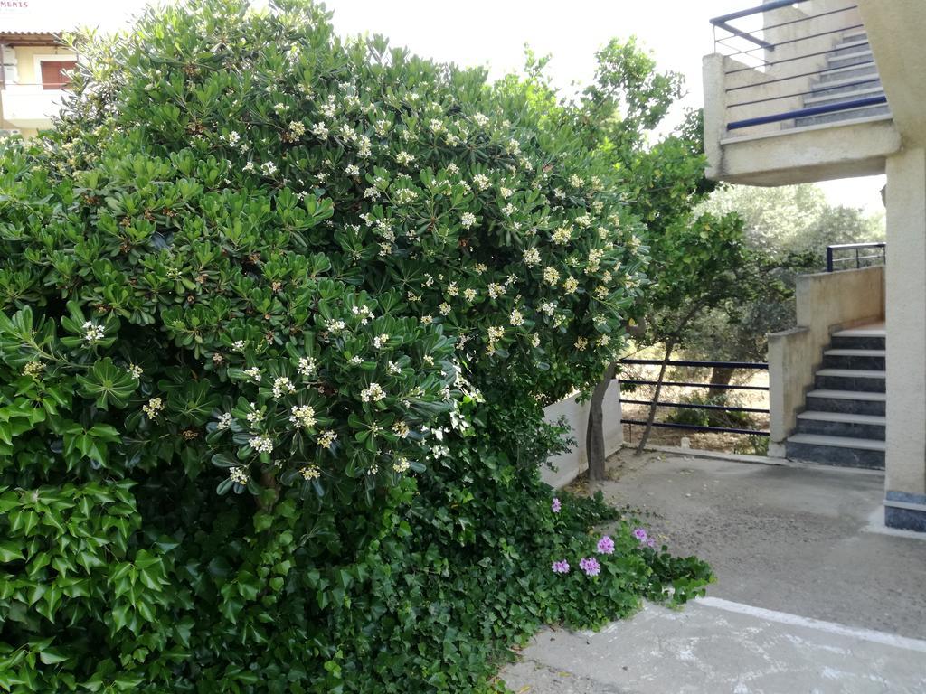 Pericles Studios Agia Marina  المظهر الخارجي الصورة