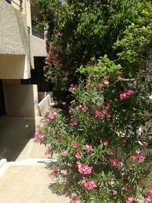 Pericles Studios Agia Marina  المظهر الخارجي الصورة